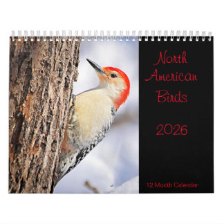 Calendrier des oiseaux de l'Amérique du Nord 2026