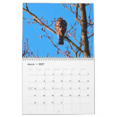 Calendrier des oiseaux de proie (Mar 2027)