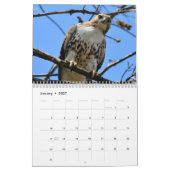 Calendrier des oiseaux de proie (Jan 2027)