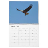 Calendrier des oiseaux de proie (Feb 2027)