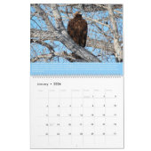 Calendrier des oiseaux de proie (Jan 2026)