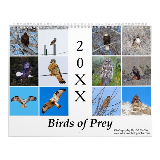 Calendrier des oiseaux de proie (Protection)