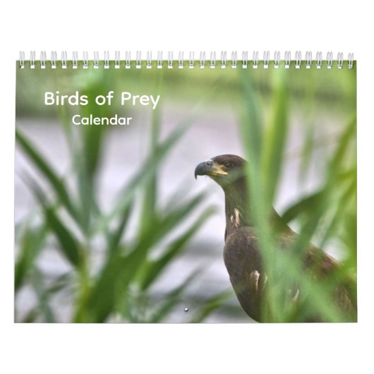 Calendrier des oiseaux de proie (Protection)