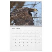 Calendrier des oiseaux de proie (Mar 2027)