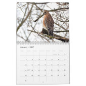 Calendrier des oiseaux de proie (Jan 2027)