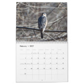 Calendrier des oiseaux de proie (Feb 2027)