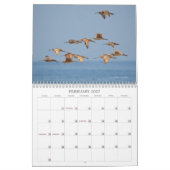 Calendrier des oiseaux des mers et des eaux (Feb 2027)