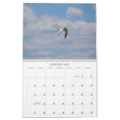 Calendrier des oiseaux des mers et des eaux (Jan 2027)