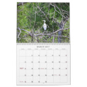 Calendrier des oiseaux des mers et des eaux (Mar 2027)