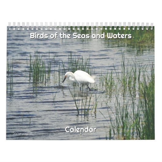 Calendrier des oiseaux des mers et des eaux (Protection)