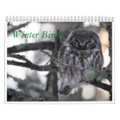 Calendrier des oiseaux d'hiver (Protection)