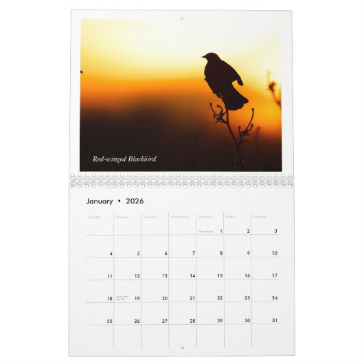 Calendrier des oiseaux d'hiver (Jan 2026)