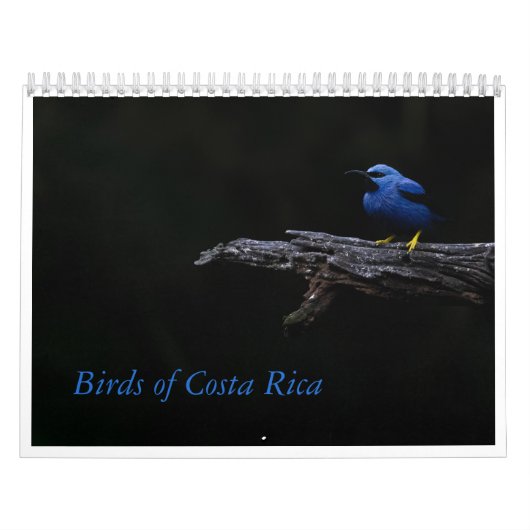 Calendrier des oiseaux du Costa Rica (Protection)