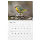 Calendrier des oiseaux du nord de l'Inde (Mar 2027)