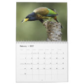 Calendrier des oiseaux du nord de l'Inde (Feb 2027)