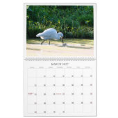 Calendrier des oiseaux du paradis (Mar 2027)