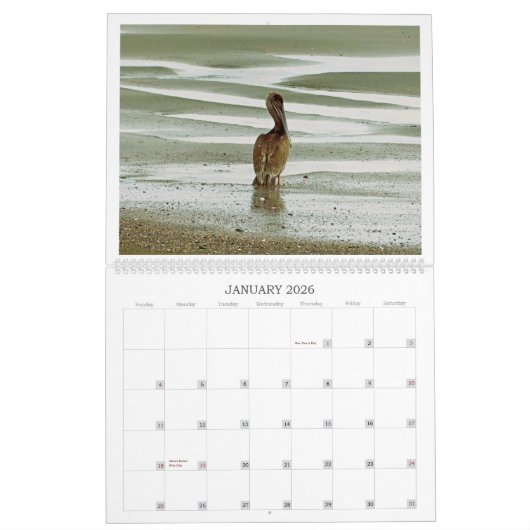 Calendrier des oiseaux du paradis (Jan 2026)