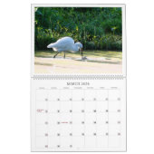 Calendrier des oiseaux du paradis (Mar 2026)