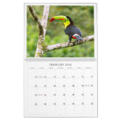Calendrier des oiseaux du paradis (Feb 2026)