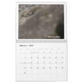Calendrier des oiseaux du sud de l'Alaska et du Ca (Feb 2027)