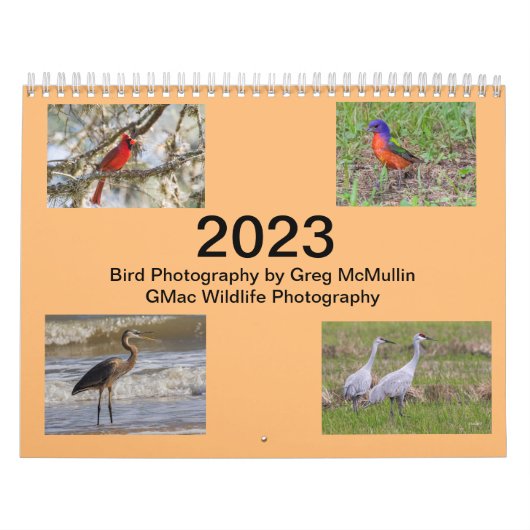 Calendrier des oiseaux du Texas 2023 (Protection)