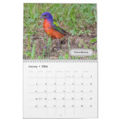 Calendrier des oiseaux du Texas 2023 (Jan 2026)