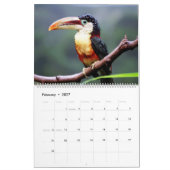 Calendrier des oiseaux du Toucan (Feb 2027)