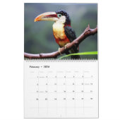 Calendrier des oiseaux du Toucan (Feb 2026)