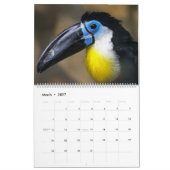 Calendrier des oiseaux du Toucan (Mar 2027)