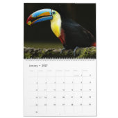Calendrier des oiseaux du Toucan (Jan 2027)