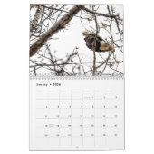 Calendrier des oiseaux du Vermont 2024 (Jan 2026)