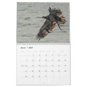Calendrier des oiseaux du Vermont 2024 (Mar 2027)