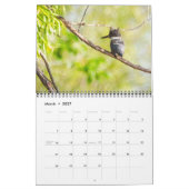 Calendrier des oiseaux du Vermont 2025 (Mar 2027)