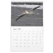 Calendrier des oiseaux du Wisconsin 2022 (Mar 2027)