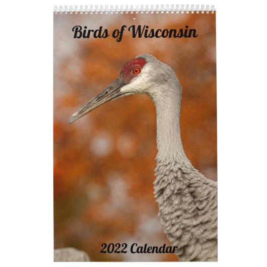 Calendrier des oiseaux du Wisconsin 2022 (Protection)