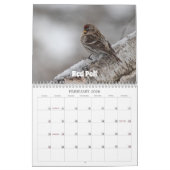 Calendrier des oiseaux du Wisconsin 2026 (Feb 2026)