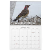 Calendrier des oiseaux du Wisconsin 2026 (Jan 2027)