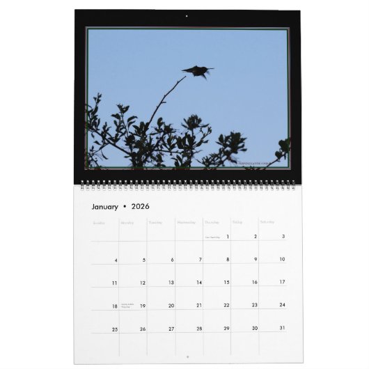 Calendrier des oiseaux en vol 2020 (Jan 2026)