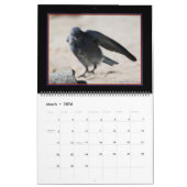Calendrier des oiseaux en vol 2020 (Mar 2026)