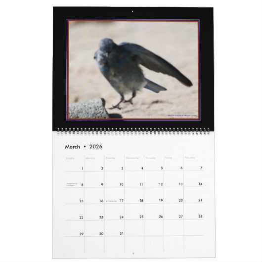 Calendrier des oiseaux en vol 2020 (Mar 2026)