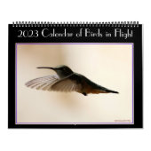 Calendrier des oiseaux en vol 2020 (Protection)