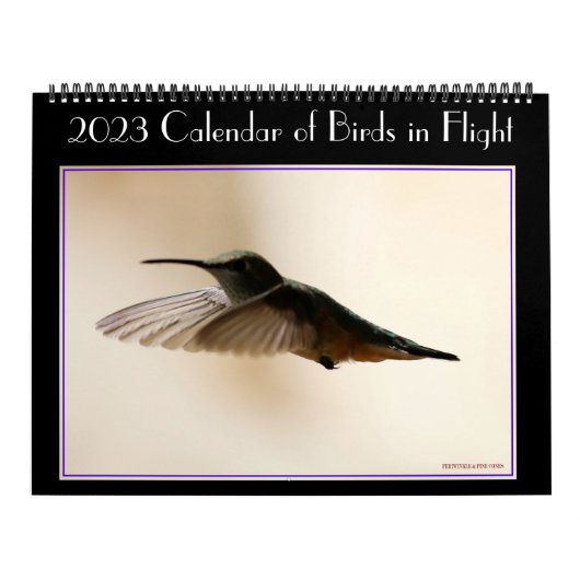 Calendrier des oiseaux en vol 2020 (Protection)
