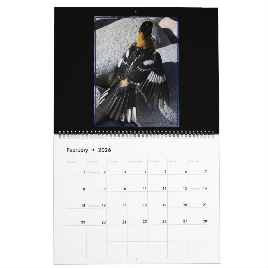 Calendrier des oiseaux en vol 2020 (Feb 2026)