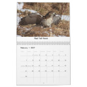 Calendrier des oiseaux et des canards (Feb 2027)