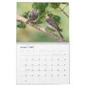 Calendrier des oiseaux et des fleurs 2020 (Jan 2027)