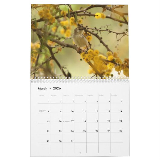 Calendrier des oiseaux et des fleurs 2020 (Mar 2026)