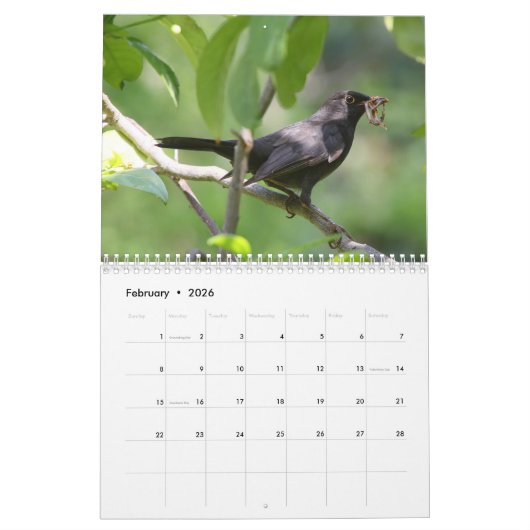 Calendrier des oiseaux et des fleurs 2020 (Feb 2026)