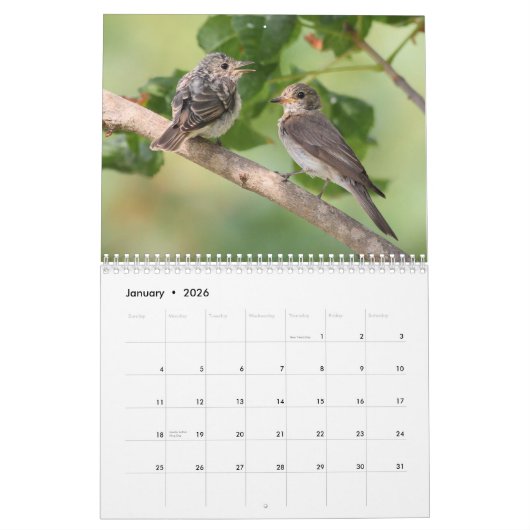 Calendrier des oiseaux et des fleurs 2020 (Jan 2026)