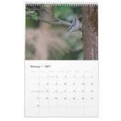 Calendrier des oiseaux indigènes (Feb 2027)