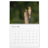 Calendrier des oiseaux Jardins 2025 (Jan 2026)